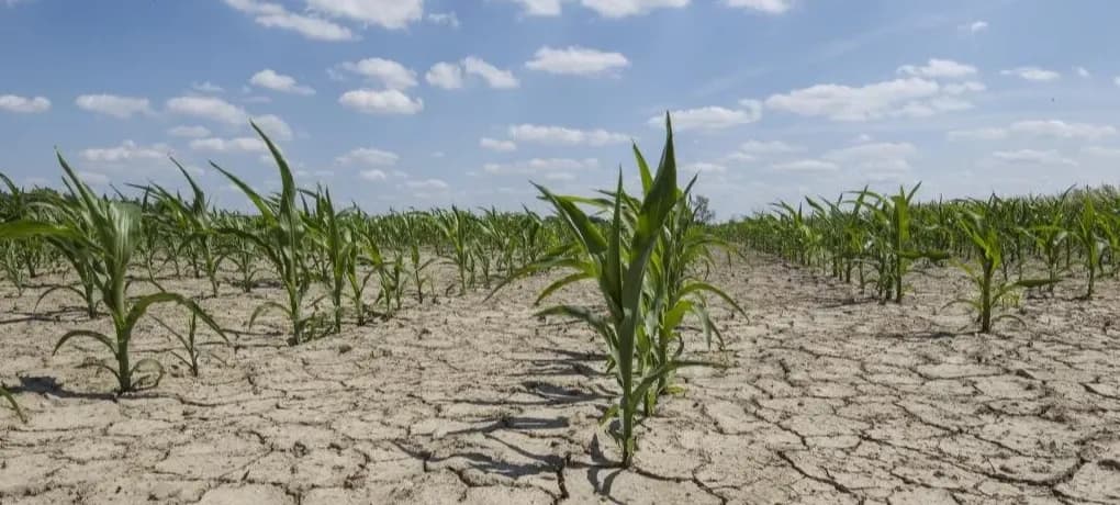 Soil Degradation and Fashion